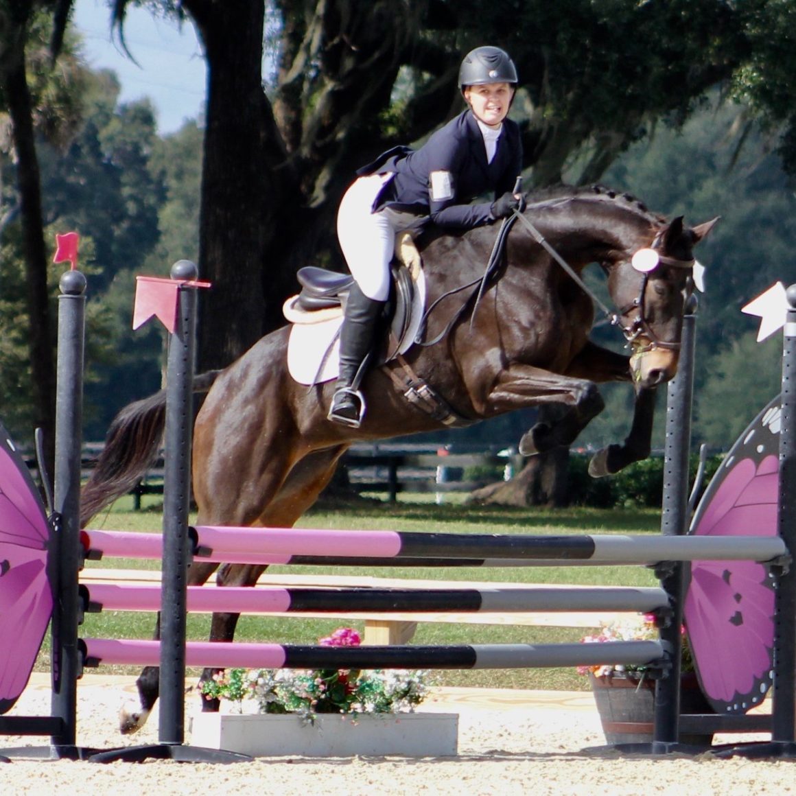 Horses for Sale Ashland Eventing