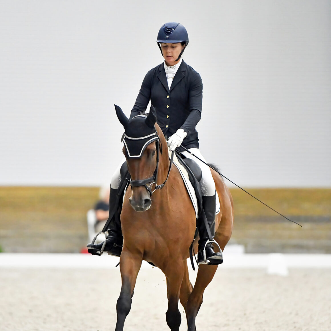 Horses for Sale Ashland Eventing